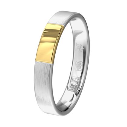 Een vlakke horizontaal matte ring wordt onderbroken door glanzend geelgoud.