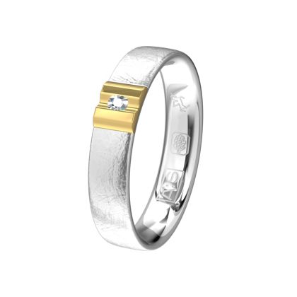 Deze Argentium ring is ijsgematteerd voor een stoere look. De briljant is gezet in glanzend geelgoud dat op de ring ligt.